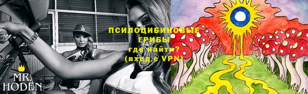 тгк Алексин