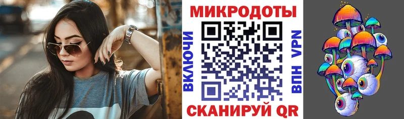 Псилоцибиновые грибы Psilocybe  Лиски 