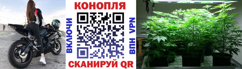 как найти закладки  Лиски  МАРИХУАНА планчик 